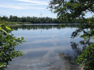Der Ewaldsee in Gelsenkirchen Resser Mark im Juni 2020