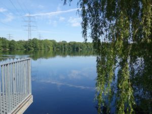 Der Ewaldsee in Gelsenkirchen Resser Mark im Juni 2020