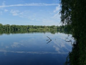 Der Ewaldsee in Gelsenkirchen Resser Mark im Juni 2020