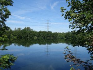 Der Ewaldsee in Gelsenkirchen Resser Mark im Juni 2020