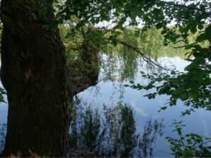 Der Ewaldsee in Gelsenkirchen Resser Mark im Juni 2020