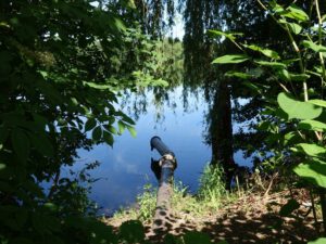 Der Ewaldsee in Gelsenkirchen Resser Mark im Juni 2020