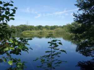 Der Ewaldsee in Gelsenkirchen Resser Mark im Juni 2020