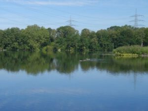 Der Ewaldsee in Gelsenkirchen Resser Mark im Juni 2020