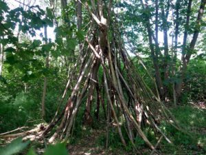 Der Ewaldsee in Gelsenkirchen Resser Mark im Juni 2020