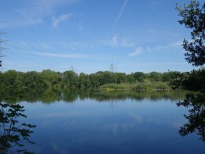 Der Ewaldsee in Gelsenkirchen Resser Mark im Juni 2020
