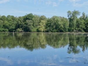 Der Ewaldsee in Gelsenkirchen Resser Mark im Juni 2020
