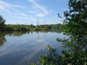 Der Ewaldsee in Gelsenkirchen Resser Mark im Juni 2020