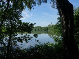 Der Ewaldsee in Gelsenkirchen Resser Mark im Juni 2020