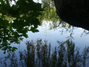 Der Ewaldsee in Gelsenkirchen Resser Mark im Juni 2020