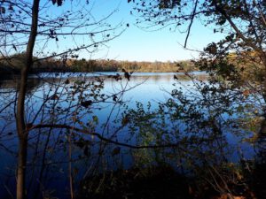 Der Ewaldsee in Gelsenkirchen Resser Mark im Oktober 2020