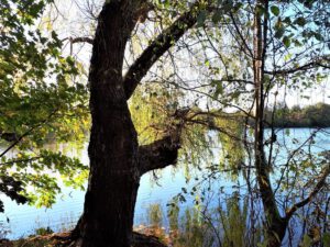 Der Ewaldsee in Gelsenkirchen Resser Mark im Oktober 2020