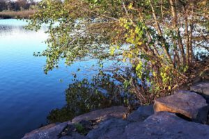 Der Ewaldsee in Gelsenkirchen Resser Mark im Oktober 2020