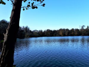 Der Ewaldsee in Gelsenkirchen Resser Mark im Oktober 2020