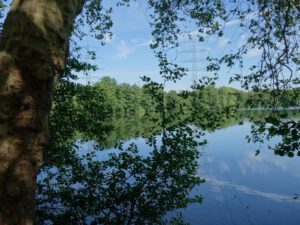 Der Ewaldsee in Gelsenkirchen Resser Mark im Juni 2020