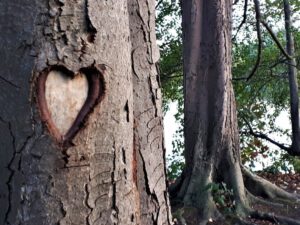 Der Ewaldsee in Gelsenkirchen Resser Mark im Oktober 2020