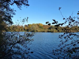Der Ewaldsee in Gelsenkirchen Resser Mark im Oktober 2020
