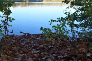Der Ewaldsee in Gelsenkirchen Resser Mark im Oktober 2020