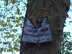 Der Ewaldsee in Gelsenkirchen Resser Mark im Oktober 2020