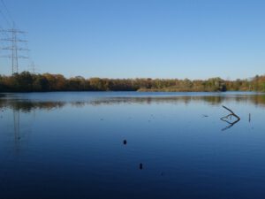 Der Ewaldsee in Gelsenkirchen Resser Mark im Oktober 2020