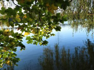 Der Ewaldsee in Gelsenkirchen Resser Mark im Oktober 2020