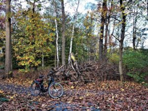 Der Ewaldsee in Gelsenkirchen Resser Mark im Oktober 2020