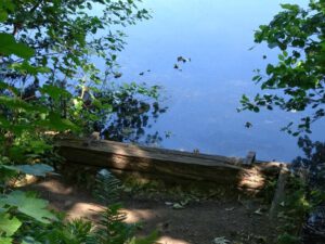 Der Ewaldsee in Gelsenkirchen Resser Mark im Juni 2020