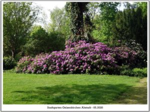 Gelsenkirchen Altstadt im Mai 2020