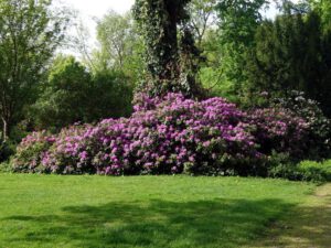 Gelsenkirchen Altstadt im Mai 2020