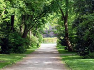 Gelsenkirchen Altstadt Stadtgarten im Mai 2020