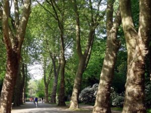 Gelsenkirchen Altstadt Stadtgarten im Mai 2020