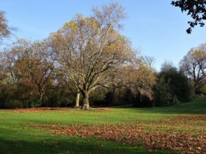 Gelsenkirchen Altstadt im November 2020