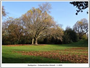 Der Stadtgarten in Gelsenkirchen Altstadt im November 2020
