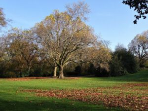 Der Stadtgarten in Gelsenkirchen Altstadt im November 2020
