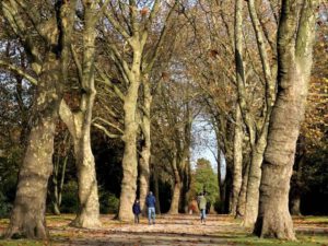 Gelsenkirchen Altstadt Stadtgarten im November 2020
