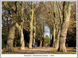 Der Stadtgarten in Gelsenkirchen Altstadt im November 2020