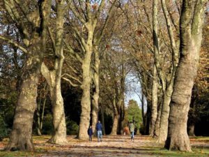 Der Stadtgarten in Gelsenkirchen Altstadt im November 2020