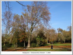 Der Stadtgarten in Gelsenkirchen Altstadt im November 2020