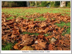 Der Stadtgarten in Gelsenkirchen Altstadt im November 2020
