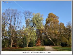Der Stadtgarten in Gelsenkirchen Altstadt im November 2020