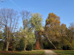 Der Stadtgarten in Gelsenkirchen Altstadt im November 2020