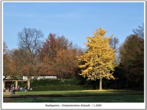 Der Stadtgarten in Gelsenkirchen Altstadt im November 2020