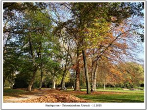 Gelsenkirchen Altstadt Stadtgarten im November 2020
