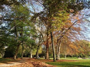Gelsenkirchen Altstadt Stadtgarten im November 2020