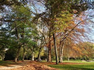 Der Stadtgarten in Gelsenkirchen Altstadt im November 2020