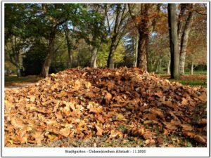 Der Stadtgarten in Gelsenkirchen Altstadt im November 2020
