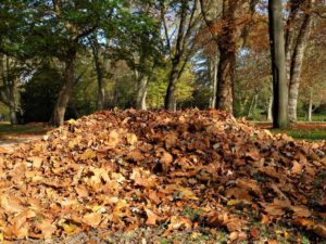 Der Stadtgarten in Gelsenkirchen Altstadt im November 2020