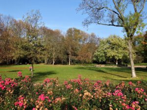 Gelsenkirchen Altstadt Stadtgarten im November 2020