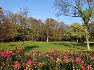 Der Stadtgarten in Gelsenkirchen Altstadt im November 2020