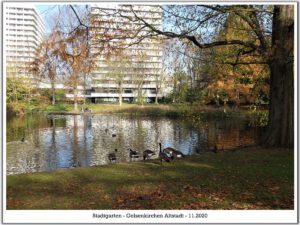 Gelsenkirchen Altstadt Stadtgarten im November 2020